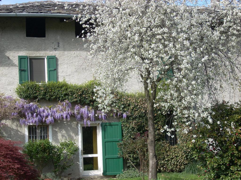 B&B L'Isola Piantedo ภายนอก รูปภาพ